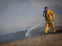 Поджог деревьев в Нешере, причинен ущерб