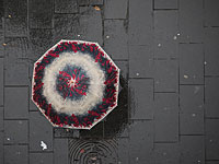 Метеорологи подвели итоги июня, признав его необычным