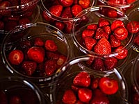 Владимир Жириновский верил в победу бельгийцев над бразильцами и выиграл 100 кг клубники