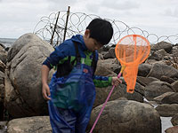 ООН: каждый пятый ребенок в КНДР недоедает 