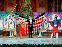 Ледовая пластика 