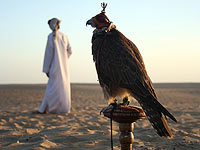 СМИ: Катар заплатил шиитским боевикам миллиардный выкуп за родственников эмира