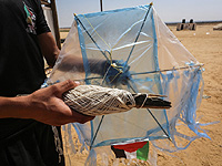 Группа поджигателей из Газы заявила, что не подчиняется ХАМАСу и усилит 