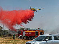 В течение дня