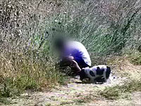 В Иерусалиме задержан