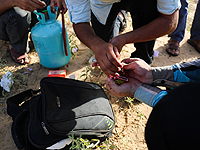 Затишье на юге. Израиль: ХАМАС должен остановить 