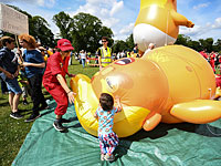 Цыпленок Трамп с номером 00045 на спине: 