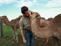 В Саудовской Аравии опубликовано постановление, защищающее права животных 