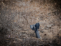 Затишье на границе с сектором Газы. Фоторепортаж
