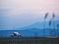 Из-за приближения тайфуна японские авиакомпании отменили сотни рейсов