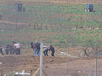 Палестинские источники: ЦАХАЛ атаковал группу молодежи к востоку от города Газа