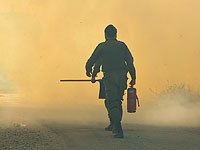 Около границы с сектором Газы возник еще один пожар