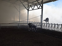 Около границы с Газой в течение дня возникло не менее 13 пожаров