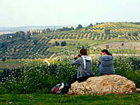 Посольство Швейцарии в Израиле отметит Национальный день за 