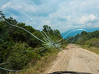 Убийство в ЦАР: российские журналисты ехали в группе из двух машин