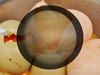 Ученые назвали шесть самых отвратительных запахов