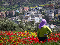 МВД передало часть муниципального налога от северных промзон арабским населенным пунктам