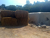 В округе Мате Иегуда мужчина погиб под снопами сена