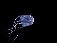 7-летняя спортсменка,