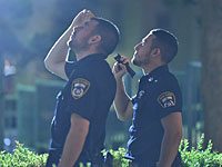 В течение нескольких часов полиция разыскивала мать, похитившую свою дочь из приемной семьи