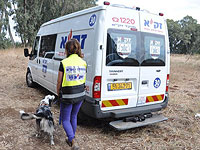 В Кирьят-Хаиме обнаружено тело молодого человека, полиция приступила к расследованию