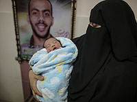 Беби-бум контрабандистов спермы: