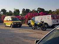 В водном парке 