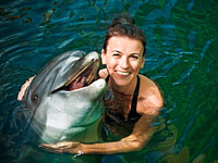 Сексуально озабоченный дельфин терроризирует жителей  Бретани