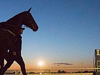 Ведущий израильский наездник пропустит чемпионат мира из-за Йом Кипур