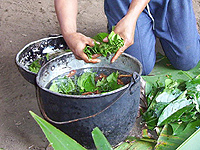 Молодой еврей из Бристоля умер в Колумбии, выпив галлюциногенный отвар