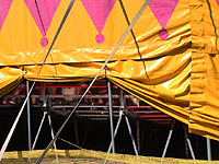 В цирке Воронежа трое артистов получили травмы из-за сломавшейся конструкции