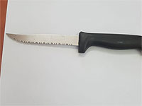 Около Рамаллы задержана арабка с ножом