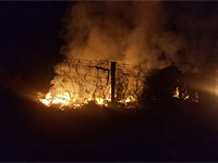 Возобновился пожар в национальном парке возле Мертвого моря