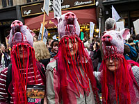 В Лилле веганы совершили серию нападений на местные бизнесы
