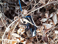 На шоссе 234 найден воздушный шар с привязанной к нему гранатой