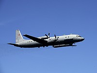 Израиль возложил ответственность за уничтожение Ил-20 на режим Асада 