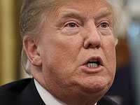 Дональд Трамп: в уничтожении Ил-20 виновата Сирия
