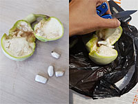 Полиция задержала в Иерусалиме араба, прятавшего героин в кабачке