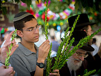 Израильтяне готовятся к празднику Суккот. Фоторепортаж