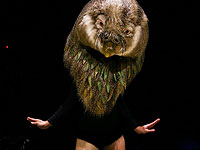 Больше, чем просто костюм: конкурс дизайна в Новой Зеландии. Фоторепортаж 
