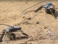 ЦАХАЛ обезвредил десятки взрывных устройств, брошенных участниками 