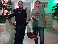 Из горящего здания в Кирьят-Гате полицейские вынесли двух котов и попугая