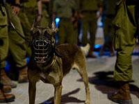 Военные и ШАБАК проводят обыски в деревне Шуэйкэ. ВИДЕО