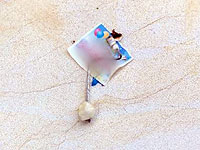 На стройплощадке в Иерусалиме найден 