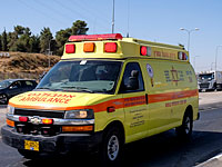 ЧП на Голанах: после укуса змеи турист упал и ударился головой