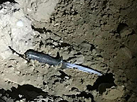 Пресс-служба ЦАХАЛа – об инциденте на границе с сектором Газы. Подробности