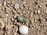 Во двор дома в Мигдаль а-Эмеке брошена граната