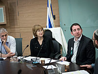 Отложено обсуждение поправок к закону о суррогатном материнстве, на которых настаивает ЛГБТ-сообщество