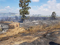 Около границы с сектором Газы потушены несколько полевых пожаров