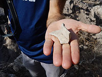 Библейская история под ковшом бульдозера. 